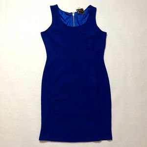 Pink rose premium quality Women's Large Blue Dress